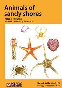 Cover image for Animals of sandy shores