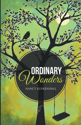 Cover image for Ordinary Wonders