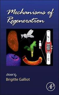 Cover image for Mechanisms of Regeneration