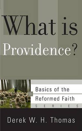 Cover image for What is Providence?