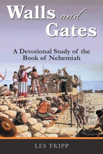 Cover image for Walls and Gates
