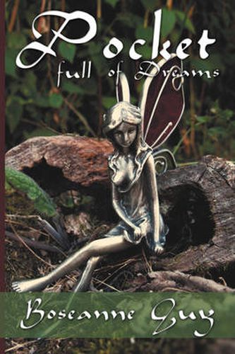 Cover image for Pocket Full of Dreams