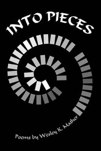 Cover image for Into Pieces