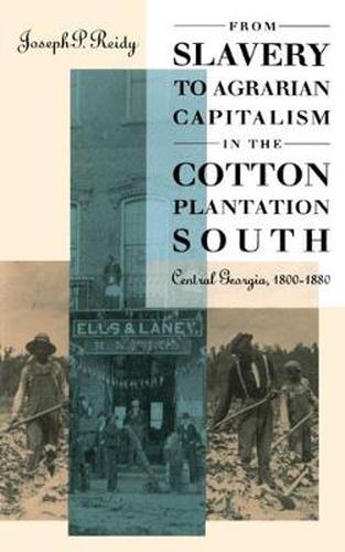 Cover image for From Slavery to Agrarian Capitalism in the Cotton Plantation South: Central Georgia, 1800-1880