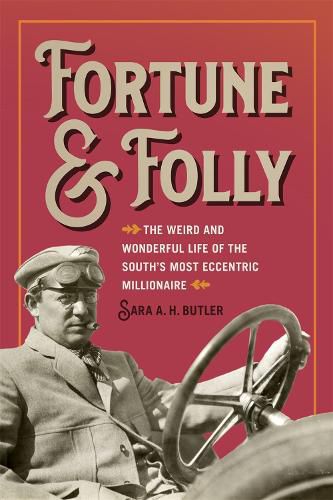 Cover image for Fortune and Folly