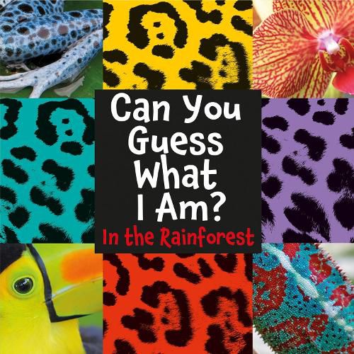 Cover image for Can You Guess What I Am?: In the Rainforest