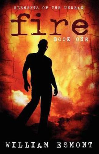 Cover image for Fire (Elements of The Undead)