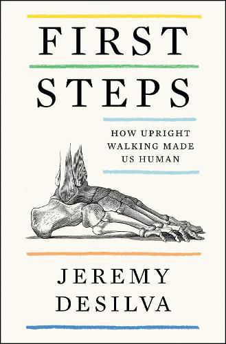 Cover image for First Steps: How Upright Walking Made Us Human