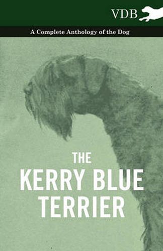 Cover image for The Kerry Blue Terrier - A Complete Anthology of the Dog