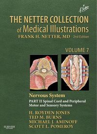 Cover image for The Netter Collection of Medical Illustrations: Nervous System, Volume 7, Part II - Spinal Cord and Peripheral Motor and Sensory Systems