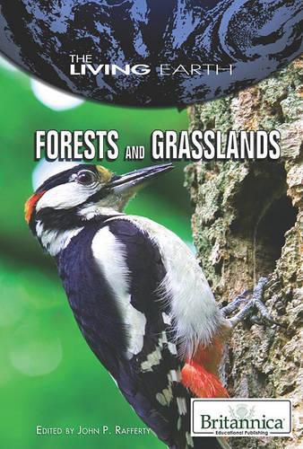 Cover image for Forests and Grasslands