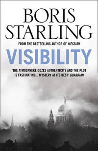 Cover image for Visibility