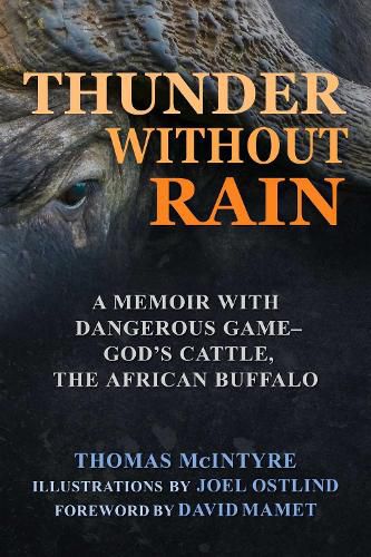 Thunder Without Rain: Hunting the Last Dangerous Game- God's Cattle,  the African Buffalo