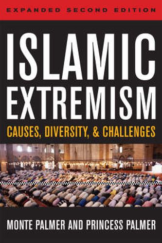 Cover image for Islamic Extremism: Causes, Diversity, and Challenges