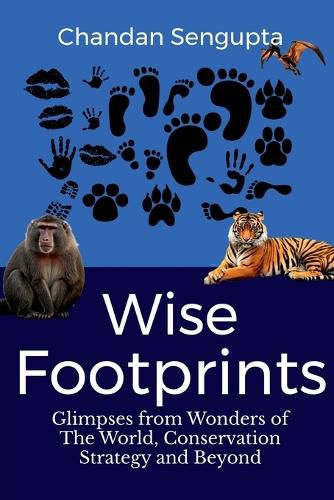 Wise Footprints