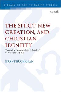 Cover image for The Spirit, New Creation, and Christian Identity