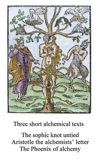 Cover image for Three short alchemical texts