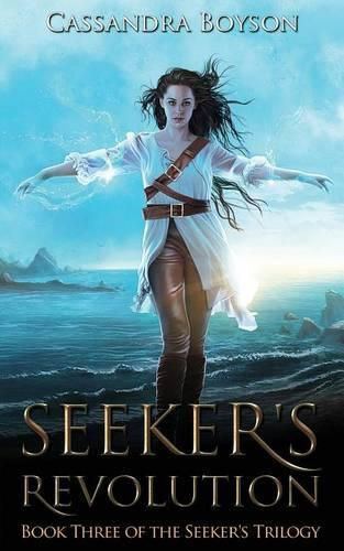 Cover image for Seeker's Revolution