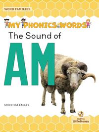 Cover image for The Sound of Am