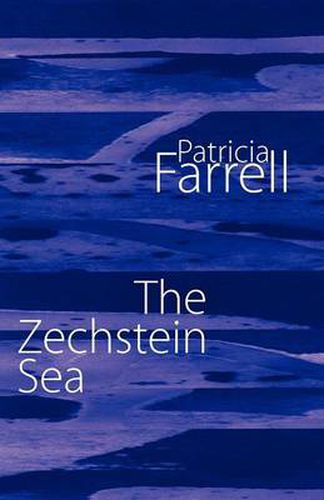 Cover image for The Zechstein Sea