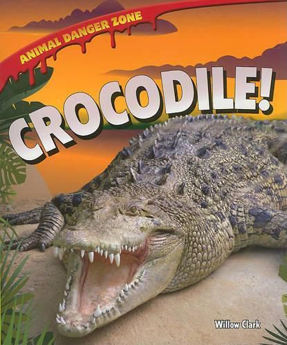 Cover image for Crocodile!