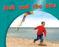 Cover image for Josh and the kite