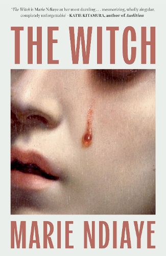 Cover image for The Witch