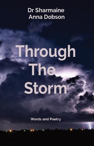 Cover image for Through The Storm