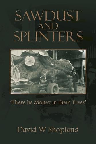 Cover image for Sawdust and Splinters