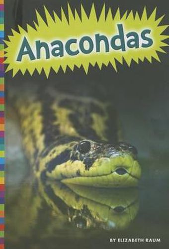 Anacondas