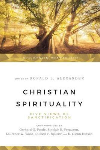 Cover image for Christian Spirituality - Five Views of Sanctification