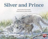 Cover image for Silver and Prince