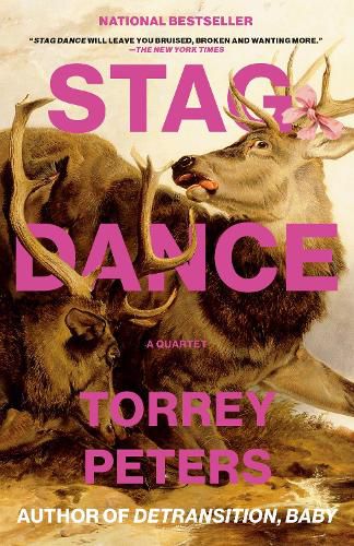 Cover image for Stag Dance