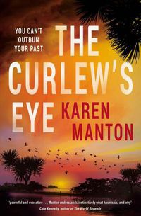 Cover image for The Curlew's Eye