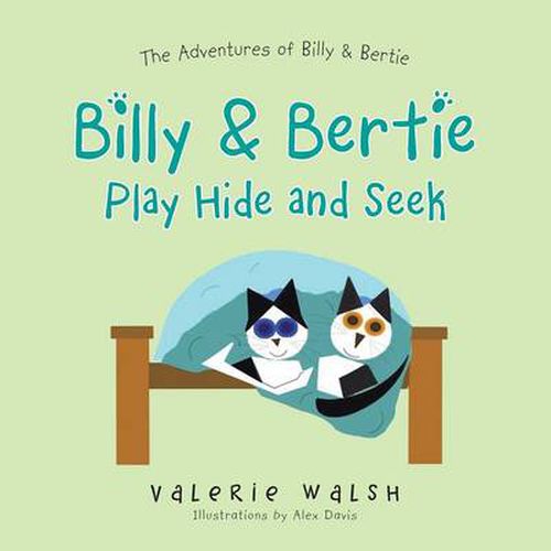 Cover image for Billy & Bertie Play Hide and Seek