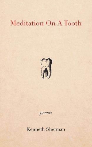 Cover image for Meditation on a Tooth