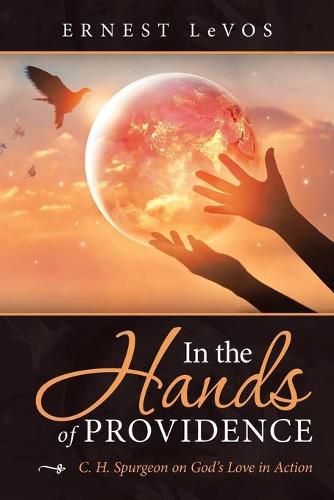 Cover image for In the Hands of Providence