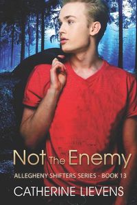 Cover image for Not the Enemy