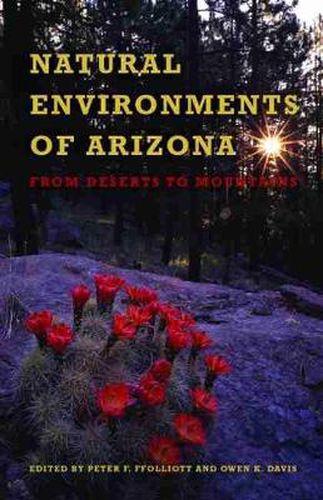 Cover image for Natural Environments of Arizona: From Desert to Mountains