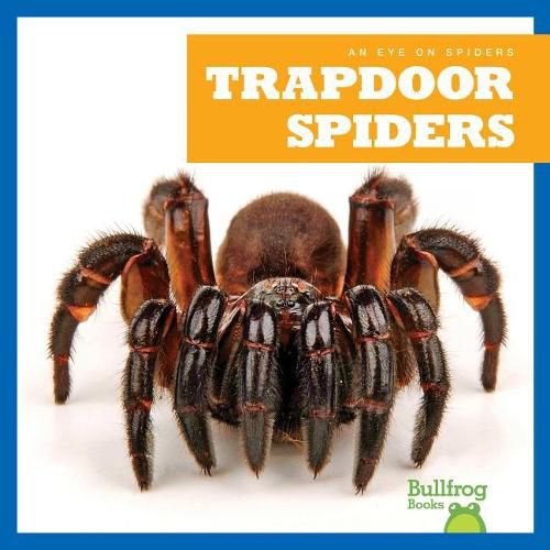 Cover image for Trapdoor Spiders