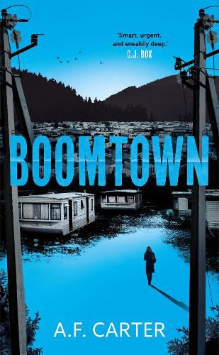 Cover image for Boomtown