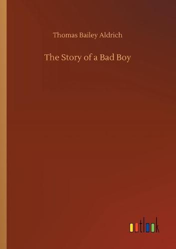 Cover image for The Story of a Bad Boy