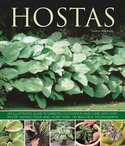 Hostas: an Illustrated Guide to Varieties, Cultivation and Care, with Step-by-step Instructions and More Than 130 Beautiful Photographs