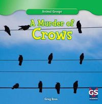 Cover image for A Murder of Crows