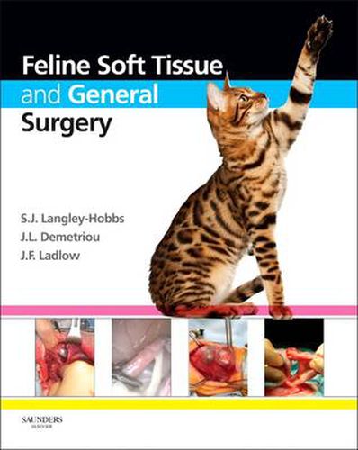 Cover image for Feline Soft Tissue and General Surgery