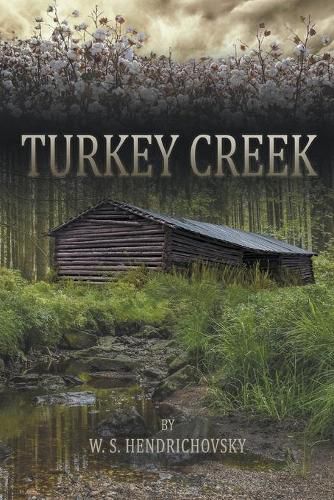 Cover image for Turkey Creek