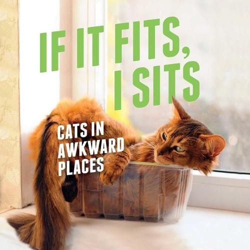 Cover image for If It Fits, I Sits: Cats in Awkward Places