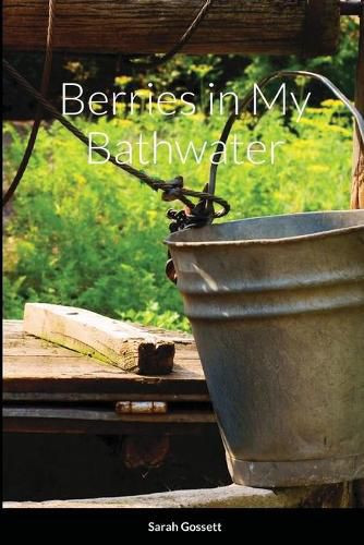 Cover image for Berries in My Bathwater