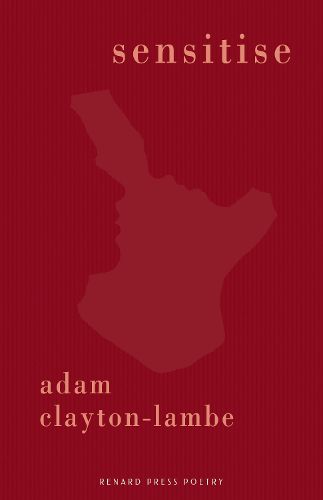 Cover image for Sensitise