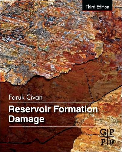 Cover image for Reservoir Formation Damage